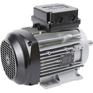 Motor de baja tensión - ATB - de inducción / trifásico / 80 V