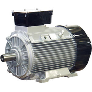 Motor síncrono - ATB - AC / de jaula de ardilla / IP67