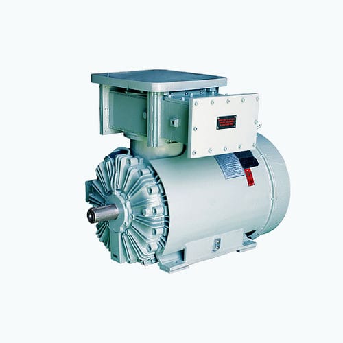 Motor asíncrono - CG Power Systems - AC / bifásico / 6.000 V