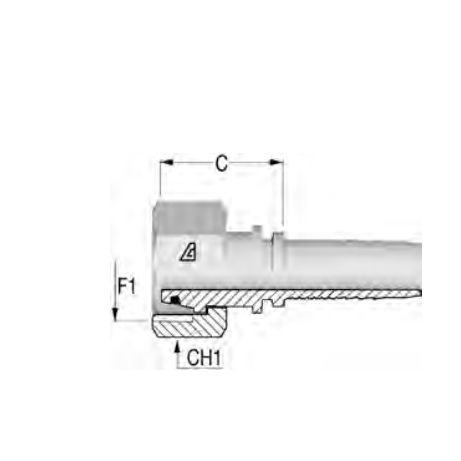 Racor hidráulico - H1221513 - ALFAGOMMA - con anillos / BSP / ORFS