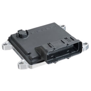 Controlador de motor para vehículo eléctrico - BORG WARNER