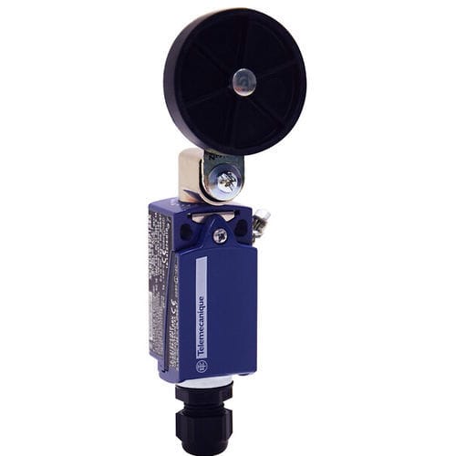 Interruptor de final de carrera rotativo - XCKD3939P16EX - Telemecanique Sensors - IEC / estándar / ATEX
