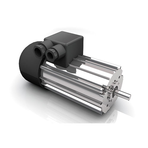 Motor AC - DR 62.0x80-4 - Dunkermotoren GmbH - trifásico / 400V / reforzado
