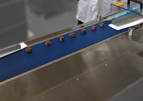 Correa plana - Dectyl - AMMERAAL BELTECH - de poliuretano / de termoplástico / de alimentos