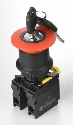 Interruptor de llave - A2EKS series - Auspicious Electrical Engineering Co., Ltd. - unipolar / IP65 / cerrado