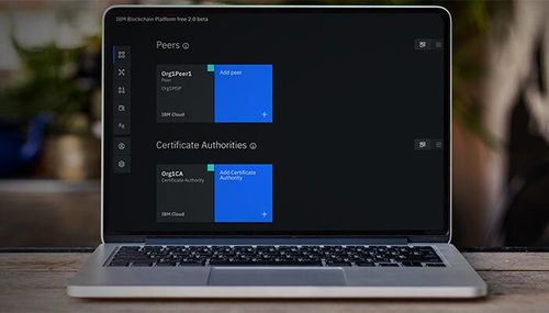 Software de gestión - Support for Hyperledger Fabric - IBM - de desarollo / para prueba / de red