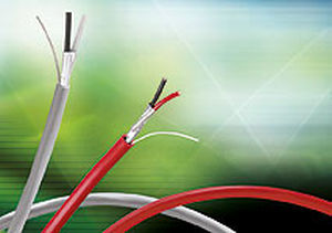 Cable eléctrico de datos - Belden Electronics GmbH Standort Neckartenzlingen - blindado / de par trenzado