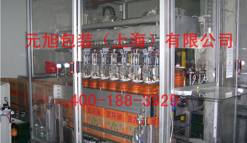Encajadora pick and place - Yuanxu Packing(shanghai) Machinery Co., LTD - de carga superior / automática / para botellas