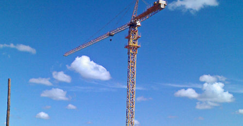 Grúa torre - TC6013-F-45.5 - Hangzhou Truemax Machinery & Equipment Cp.,Ltd - fija / para obra