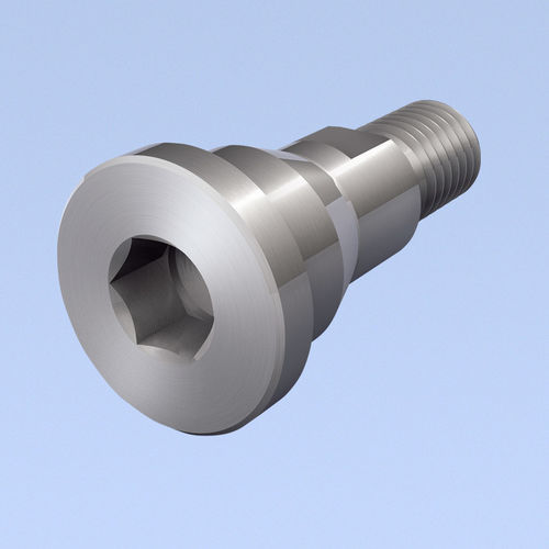 Tornillo de fijación - mbo Oßwald GmbH & Co KG - de cabeza redonda / con hueco hexagonal / de acero inoxidable