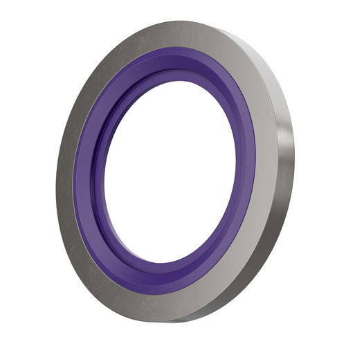 Junta BS - Banjo - Hutchinson Precision Sealing Systems - de labio / de metal / de caucho