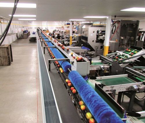 Clasificador para la industria agroalimentaria - Spectrim - Tomra - para aplicaciones agrícolas / por colores / óptico