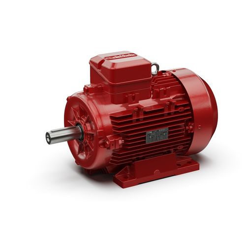 Motor asíncrono - IRSD series - I-MAK Réducteurs - trifásico / 380V / 220V