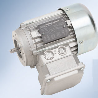Motor EC - Walther Flender - 400V / ATEX / antideflagrante