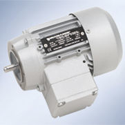 Motor asíncrono - Walther Flender - trifásico / 400V / de jaula de ardilla