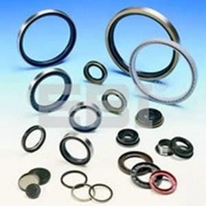 Junta tórica - EBI Bearings - C-ring