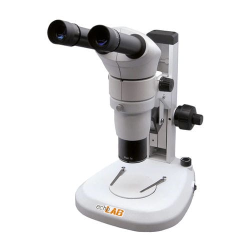 Estereomicroscopio óptico - SM 500 series - echoENG - de laboratorio / binocular / plan apocromáticos