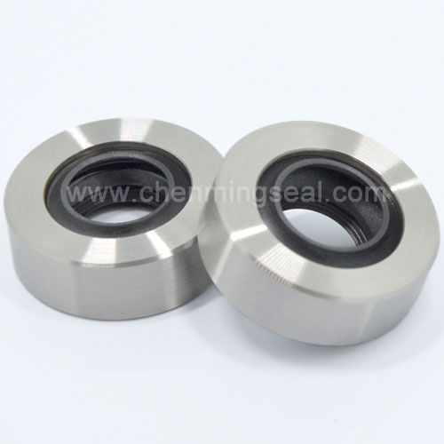 Junta de labio - CTL series - Ningbo Chenming Seals Manufacturing Co., Ltd. - de acero inoxidable / de PTFE / circular