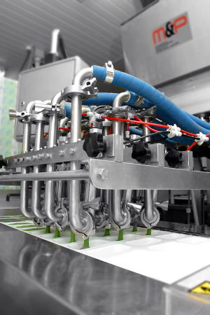 Dosificadora multicabezal - M&P Engineering