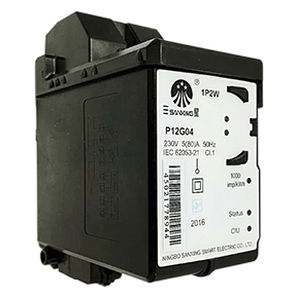 Contador de energía eléctrica monofásico - P12G04 - Ningbo Sanxing Electric Co., Ltd - en riel DIN / de prepago