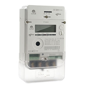 Contador de energía eléctrica monofásico - P12S01 - Ningbo Sanxing Electric Co., Ltd - de pared / digital / residencial