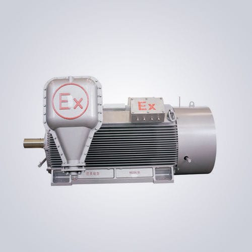 Motor de alta tensión - YB2 - Jiangsu Dazhong Electric Motor CO., Ltd - asíncrono / trifásico / 6.000 V