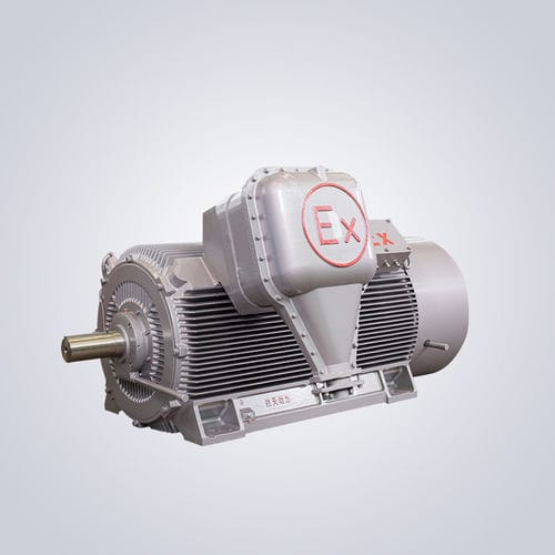 Motor de alta tensión - YBKS - Jiangsu Dazhong Electric Motor CO., Ltd - asíncrono / trifásico / 6.000 V