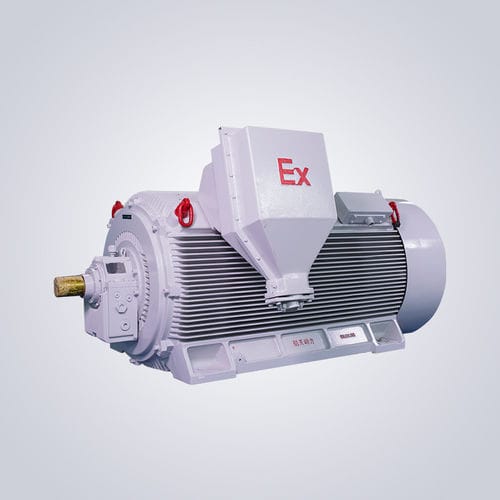 Motor antichispas - Y2W - Jiangsu Dazhong Electric Motor CO., Ltd - asíncrono / trifásico / 6.000 V