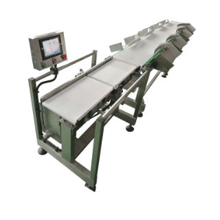 Máquina clasificadora para procesos - DHWS400*150-4 - Zhuhai dahang intelligent equipment co., LTD