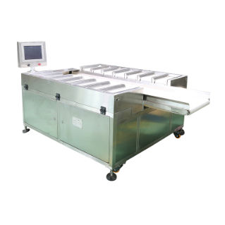 Mezclador-dosificador de banda - DHPZ-400*150-14 - Zhuhai dahang intelligent equipment co., LTD - ponderal / para la industria agroalimentaria / de alta precisión