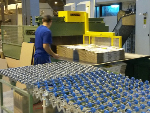 Paletizador por capas - MINDA Industrieanlagen GmbH - para cajas de cartón / semiautomático