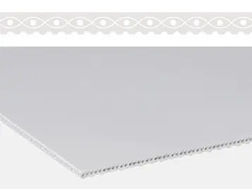 Cinta transportadora de uretano - E 3/1 U2/U2 BT/SMT-HACCP-PS - Forbo Siegling GmbH - de PS / para la industria agroalimentaria / industrial