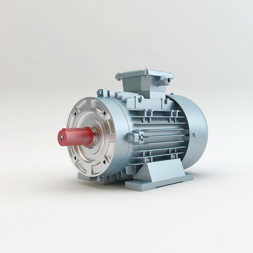 Motor asíncrono - VM112 - Volt Elektrik Motor - AC / 3 fases / 220V