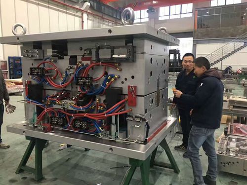 Inyección de plásticos de dos materiales - NingBo ChenTe electronics Technologies Co.,Ltd - monomaterial / multi-materias / termoplástico