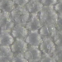 Tela para filtro prensa de PVC - PVC 3644 S - Sanin Filtertechnik GmbH