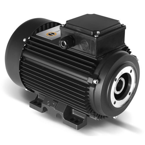 Motor asíncrono - HYDRO Series - ORANGE 1 ELECTRIC MOTORS SPA - monofásico / trifásico / 400V