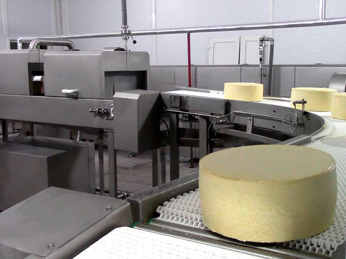 Lavadora agroalimentaria de queso - FIBOSA - de cepillo / de pulverización