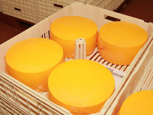 Caja-palé de plástico - FIBOSA - para la maduración de quesos / con ventilación