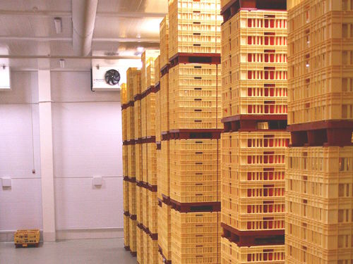 Cámara de maduración para queso - FIBOSA - seca / para la industria alimentaria