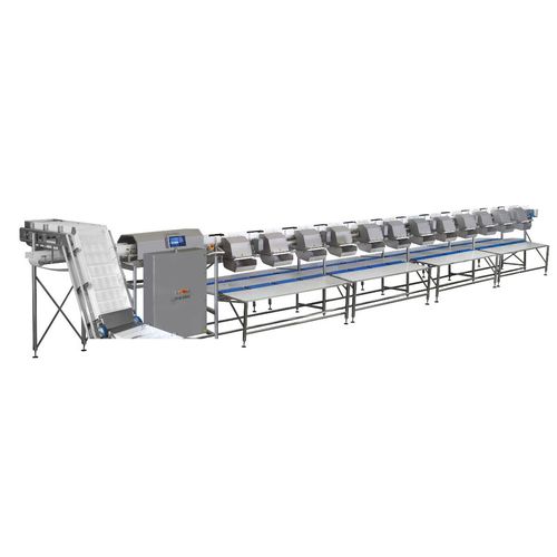 Calibradora para pescado - MC Marine - MARELEC Food Technologies BVBA - para carne / de banda