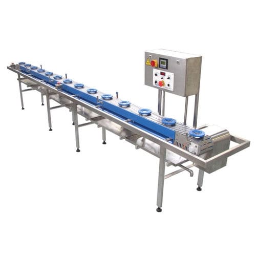 Transportador con cadena - Riggs Auto Pack Ltd - de transporte / modular / para la industria alimentaria