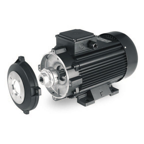 Motor con doble brida - HYDROG series - Sicme Motori - asíncrono / AC / 400V