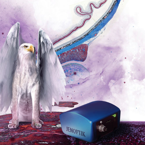 Cámara digital - PROKYON - JENOPTIK AG - HDR / para científicas / médica