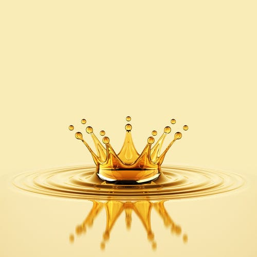 Lubricante sólido lubricante - KARLIFOOD SP 2 - MYLUBRICANTS - sintético / para rodamiento / para cadena