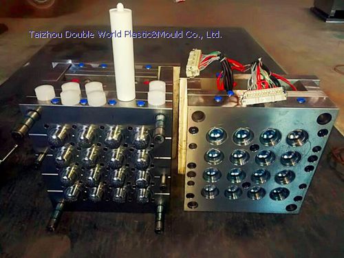 Molde de inyección de plástico multicavidad - DDW-CM401 - Taizhou Double World Plastic&Mould Co., Ltd. - tapas / para la industria del embalaje / para la industria cosmética