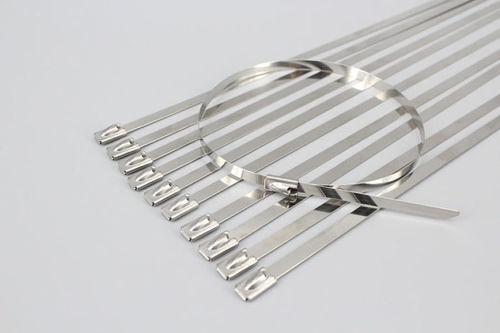 Sujetacables de acero inoxidable - DM-SS-4.6*100	 - DEMOELE / Wenzhou Duanmeng Electric Co.,Ltd - de plástico