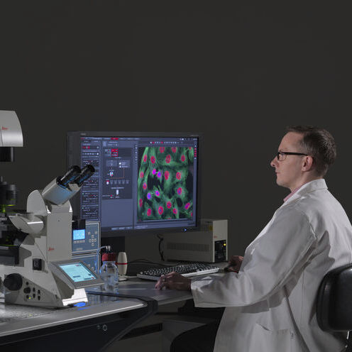 Software de imagen - LAS X Life Science - Leica Microsystems GmbH - para microscopio / Windows