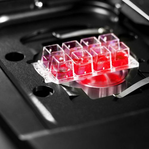 Software para microscopía - HCS A - Leica Microsystems GmbH