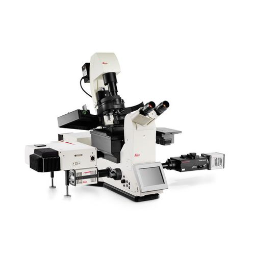 Microscopio invertido - DMi8 S - Leica Microsystems GmbH - óptico / de inspección / modular