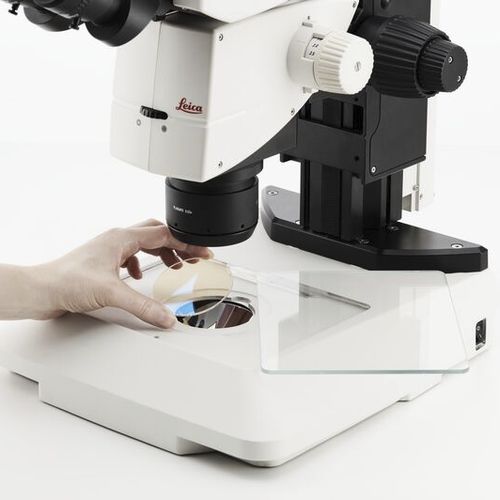 Iluminación LED - TL3000 Ergo, TL5000 Ergo - Leica Microsystems GmbH